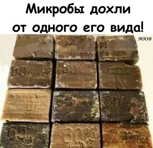 Микробы дохли от одного его вида!