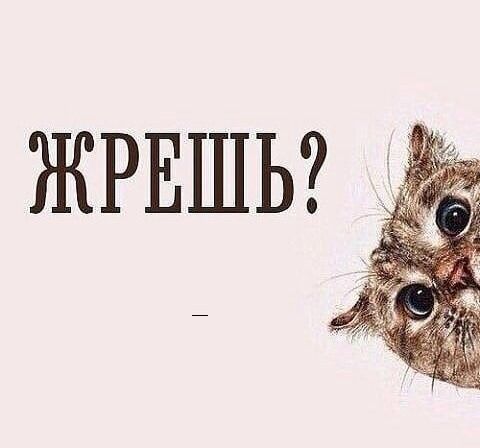 ЖРЕШЬ?