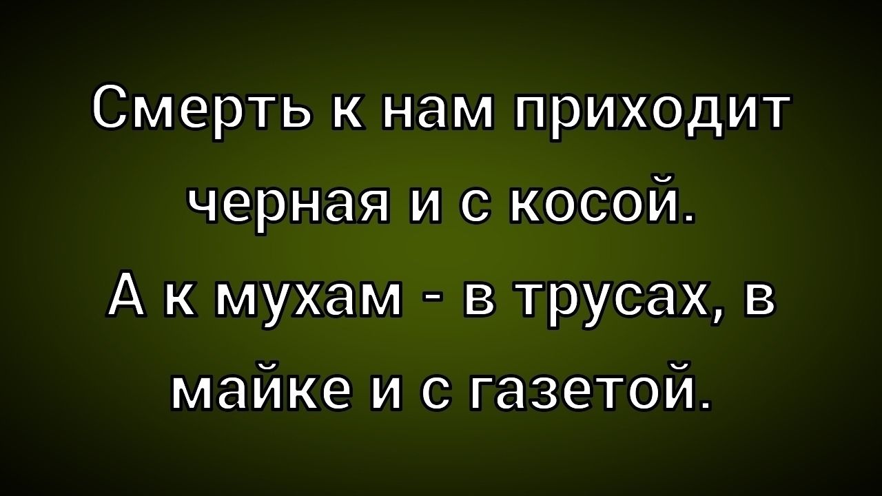 Смерть к нам приходит черная и с косой.
А к мухам - в трусах, в майке и с газетой.