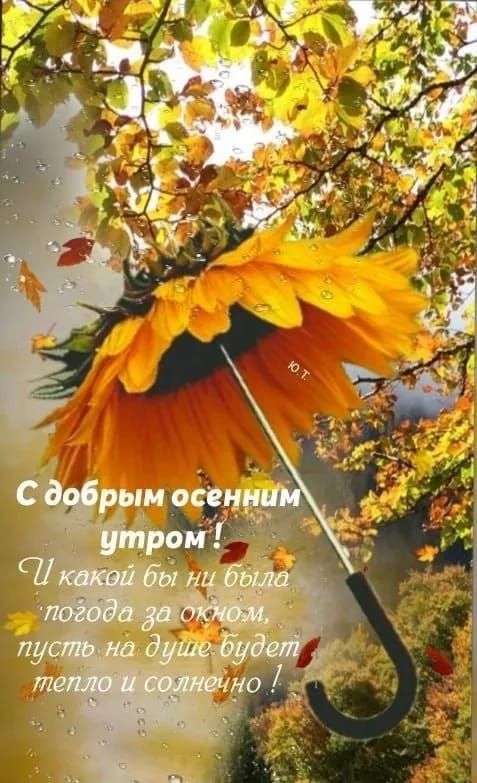 С добрым осенним утром ! И какой бы ни была погода за окном, пусть на душе будет тепло и солнечно !
