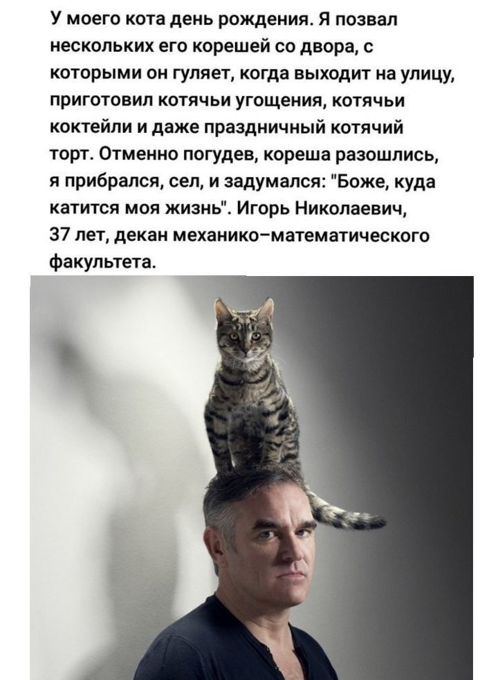 У моего кота день рождения. Я позвал нескольких его корешей со двора, с которыми он гуляет, когда выходит на улицу, приготовил котячьи угощения, котячьи коктейли и даже праздничный котячий торт. Отменно погудев, кореша разошлись, я прибрался, сел, и задумался: 