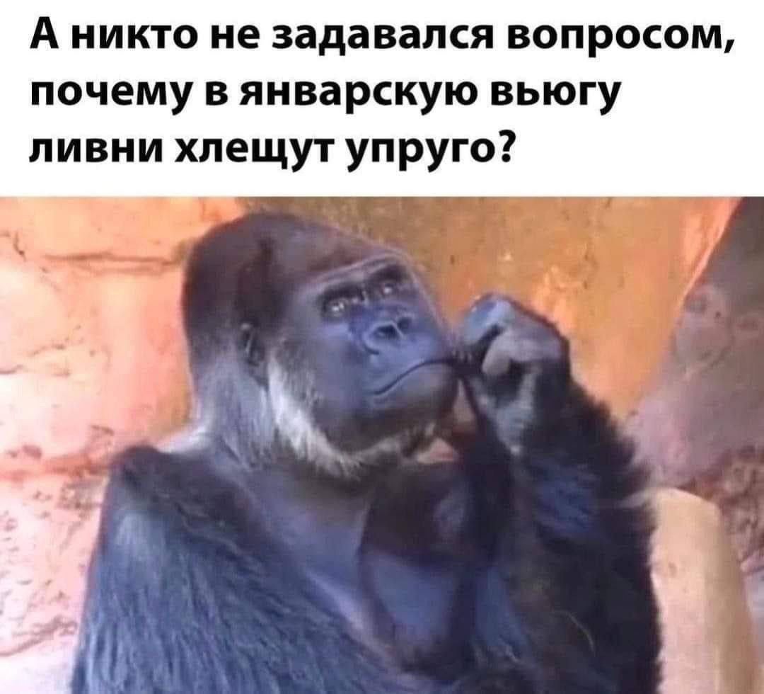 А никто не задавался вопросом, почему в январскую вьюгу либни хлещут упругу?