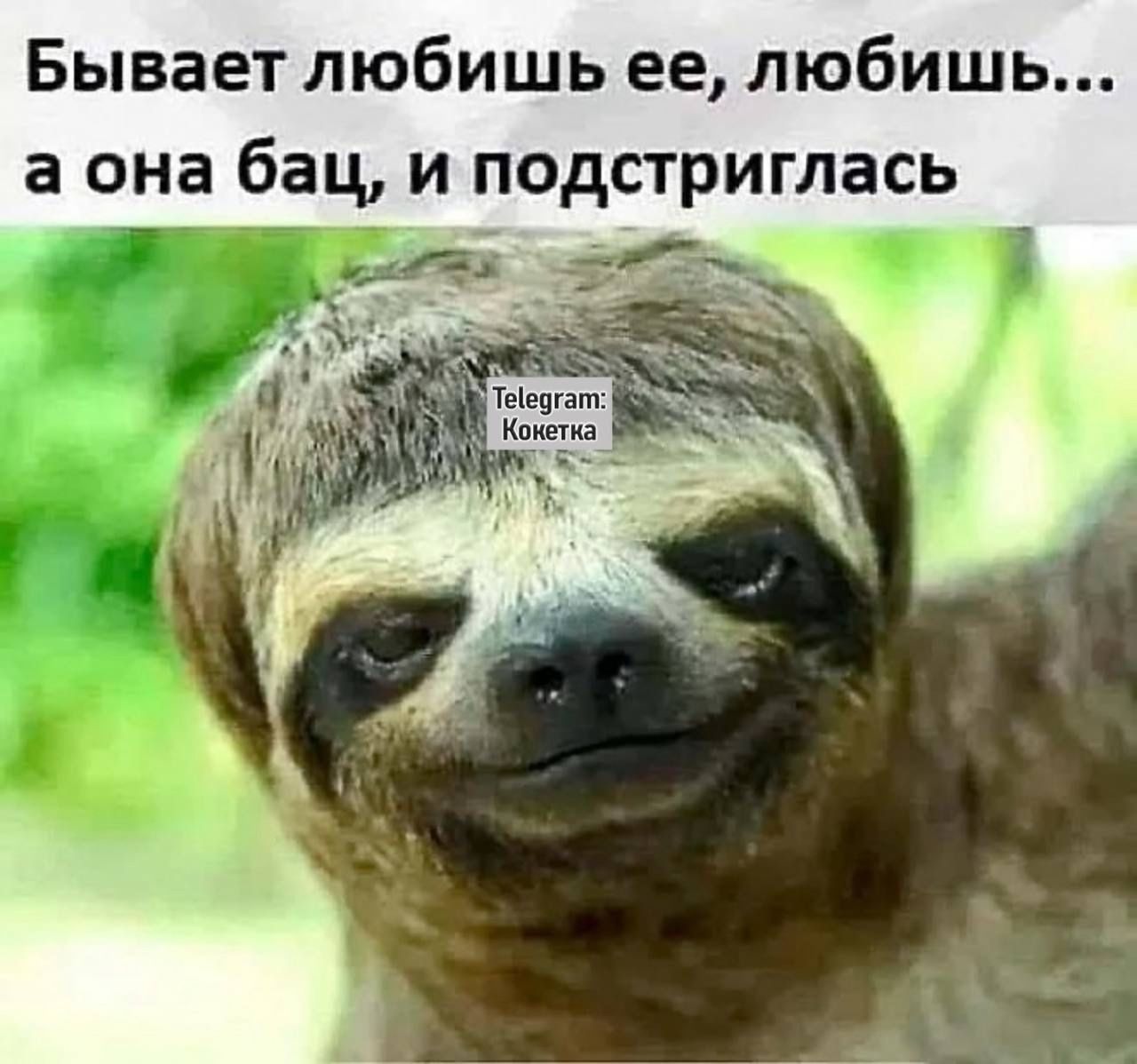 Бывает любишь ее, любишь... а она бах, и подстриглась