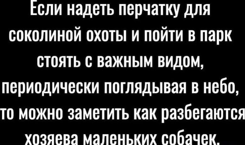 Если надеть перчатку для соколиной охоты и пойти в парк стоять с важным видом, периодически поглядывая в небо, то можно заметить как разбегаются хозяева маленьких собачек.