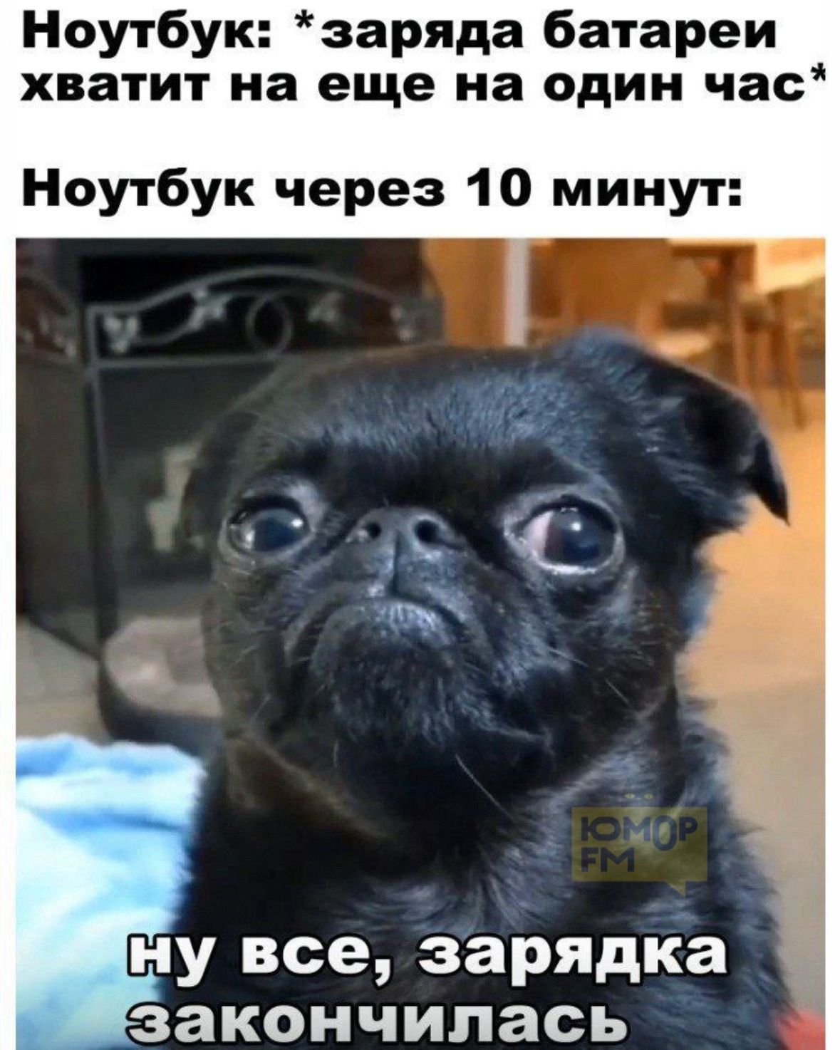 Ноутбук: *заряда батареи хватит на еще на один час*
Ноутбук через 10 минут:
ну все, зарядка закончилась