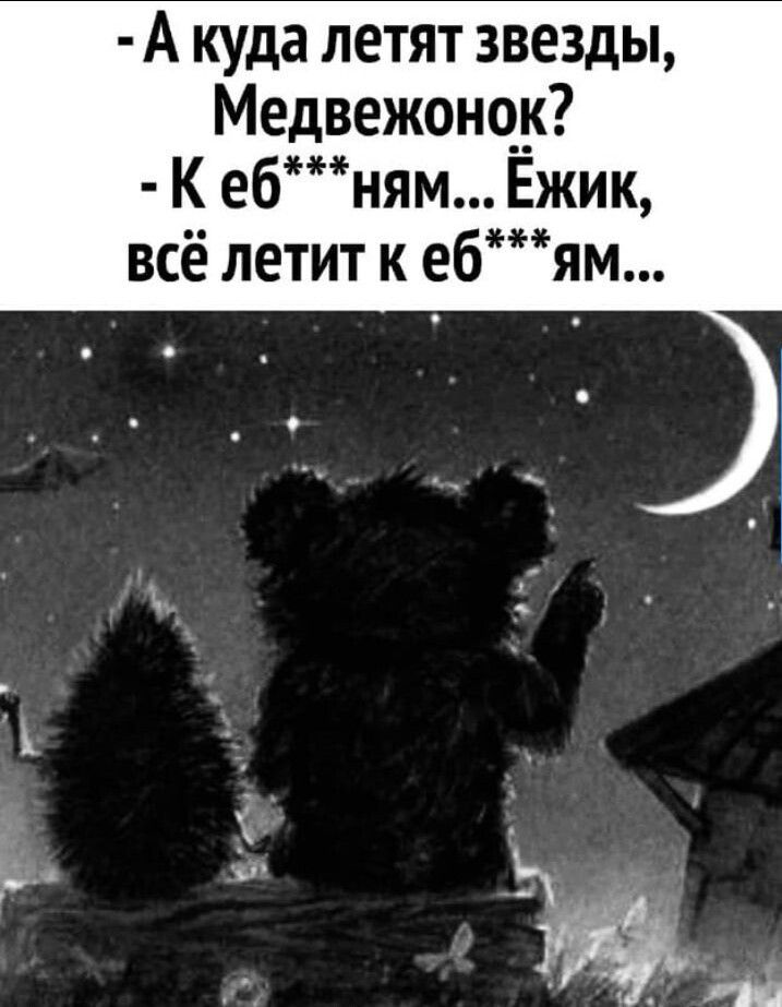 - А куда летят звезды, Медвежонок?
- К еб***ням... Ёжик, всё летит к еб***ям...