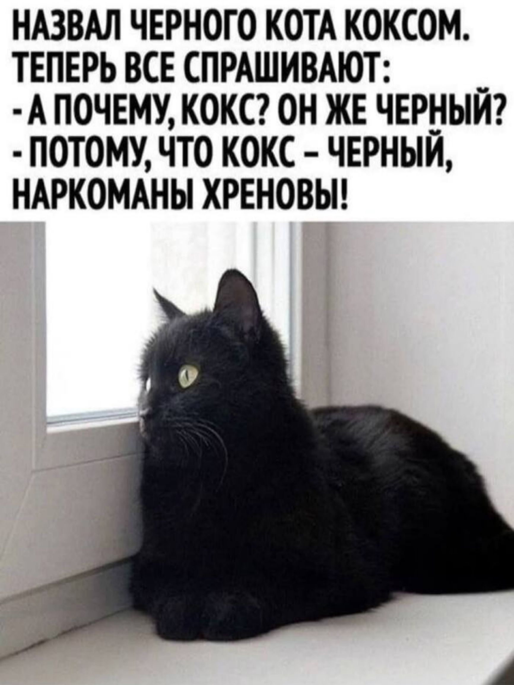 НАЗВАЛ ЧЕРНОГО КОТА КОКСОМ. ТЕПЕРЬ ВСЕ СПРАШИВАЮТ:
- А ПОЧЕМУ, КОКС? ОН ЖЕ ЧЕРНЫЙ?
- ПОТОМУ, ЧТО КОКС – ЧЕРНЫЙ, НАРКОМАНЫ ХРЕНОВЫ!