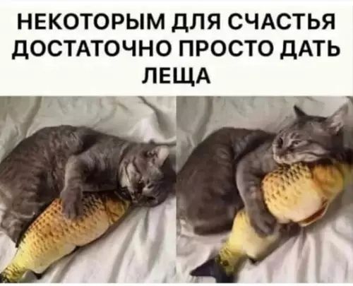 Некоторым для счастья достаточно просто дать леща