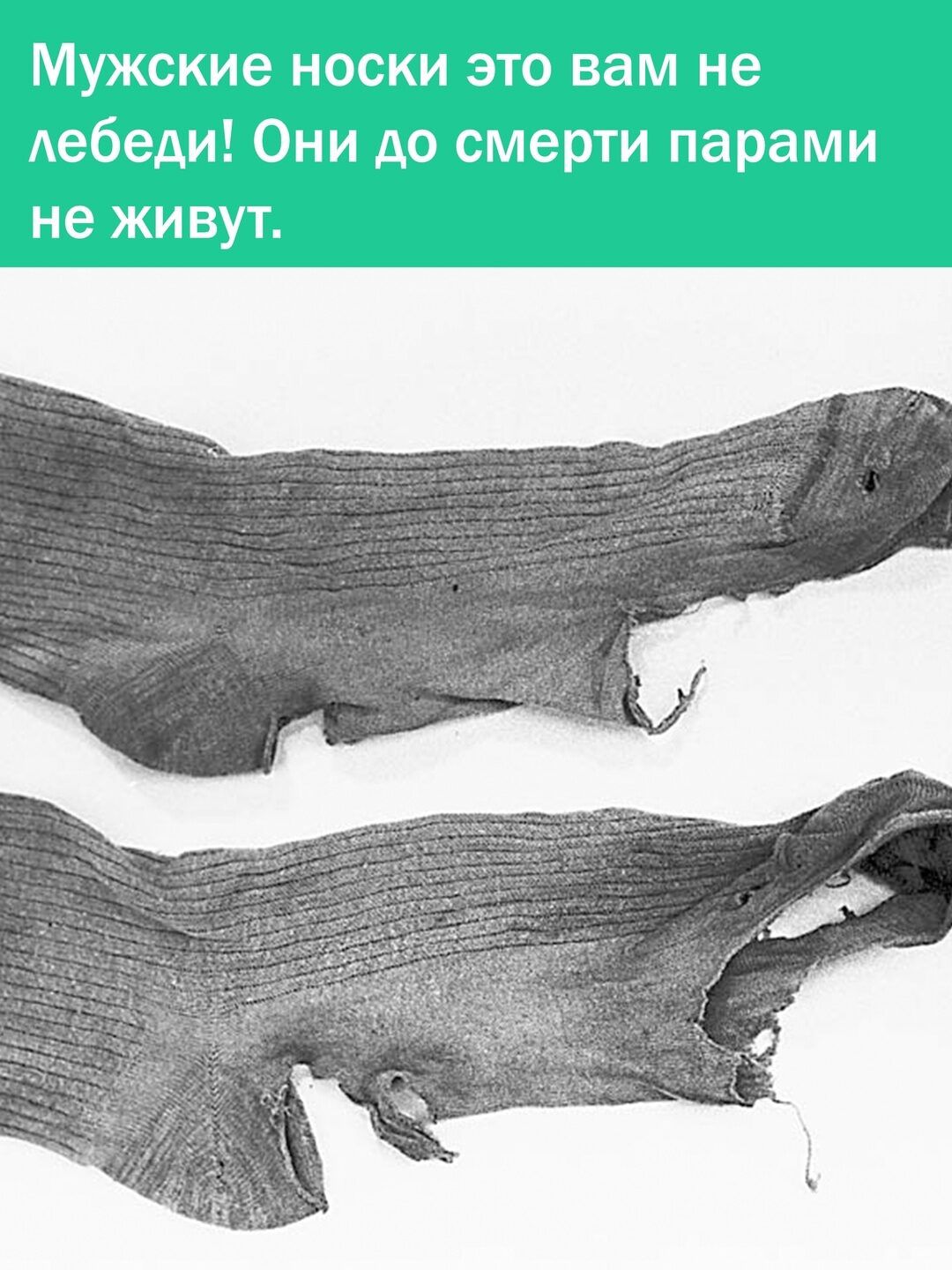 Мужские носки это вам не лебеди! Они до смерти парами не живут.