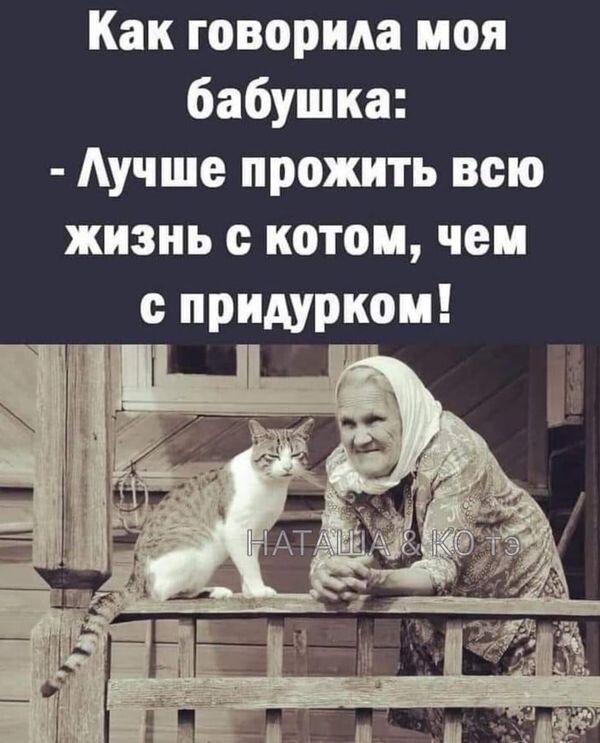 Как говорила моя бабушка: - Лучше прожить всю жизнь с котом, чем с придурком!