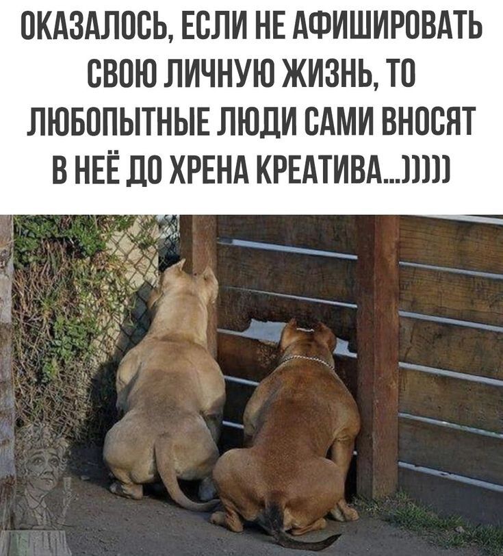 Оказалось, если не афишировать свою личную жизнь, то любопытные люди сами вносят в неё до хрена креатива...))))