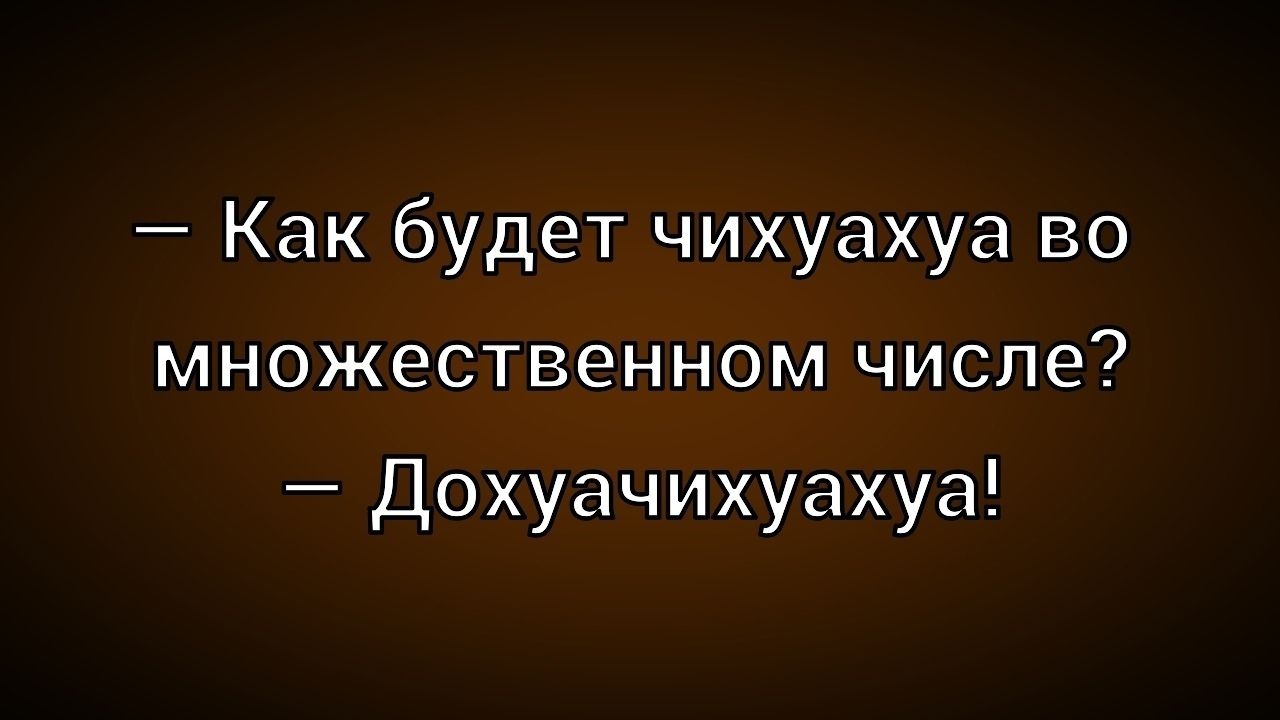 – Как будет чихуахуа во множественном числе? – Дохуячикуаха!
