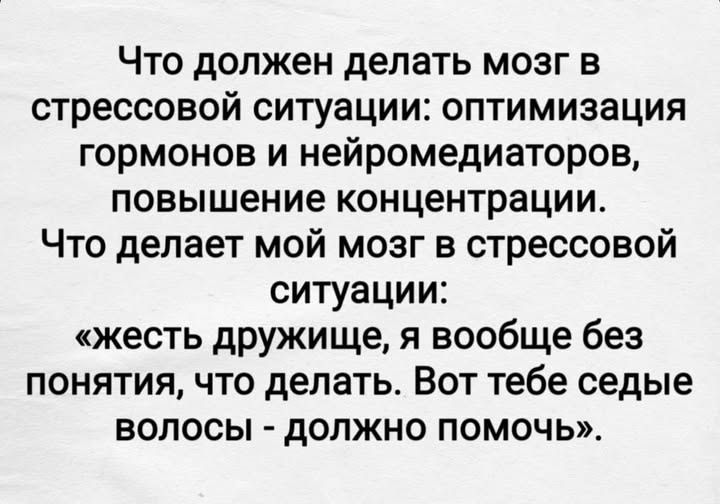 Что должен делать мозг в стрессовой ситуации: оптимизация гормонов и нейромедиаторов, повышение концентрации. Что делает мой мозг в стрессовой ситуации: «жесть дружище, я вообще без понятия, что делать. Вот тебе седые волосы - должно помочь».