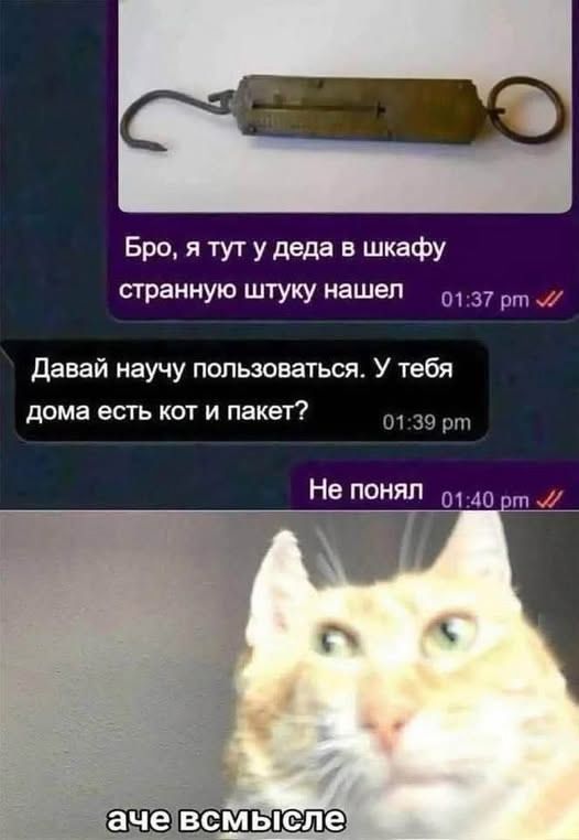 Бро, я тут у деда в шкафу странную штуку нашел
Давай научу пользоваться. У тебя дома есть кот и пакет?
Не понял
аче в смысле