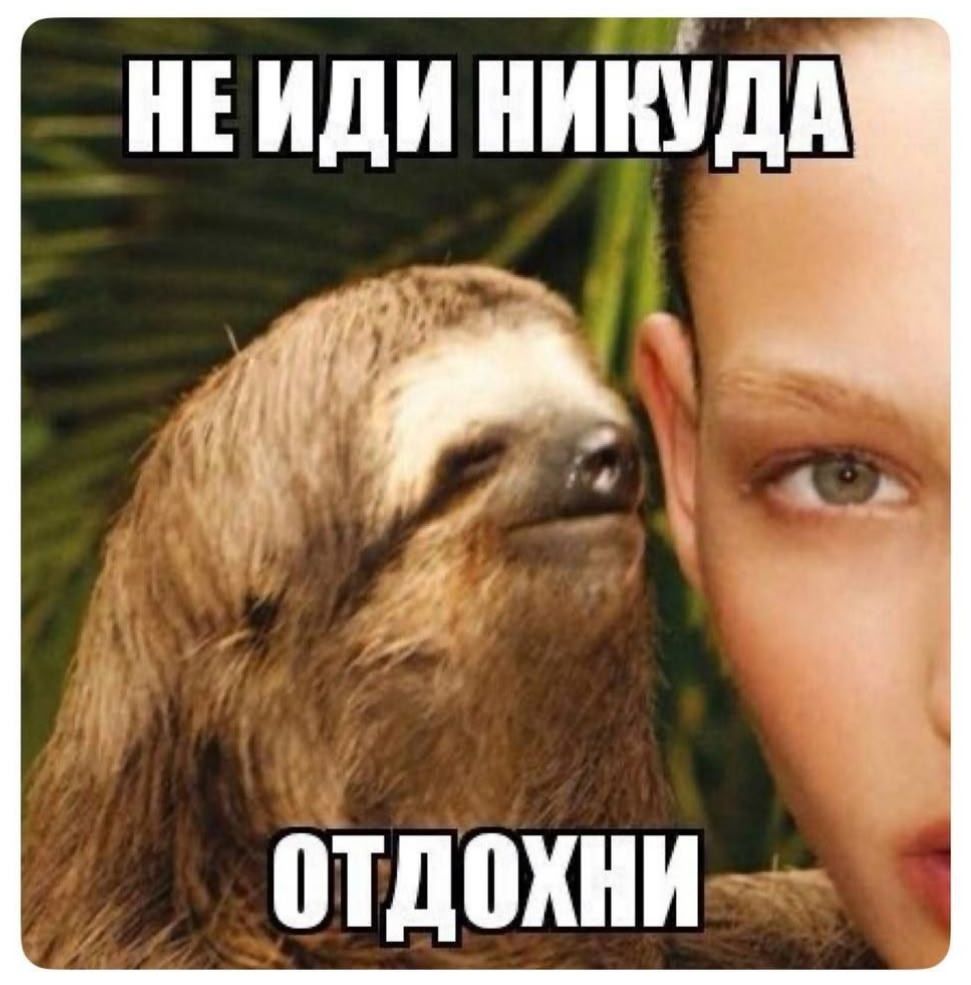 НЕ ИДИ НИКУДА ОТДОХНИ
