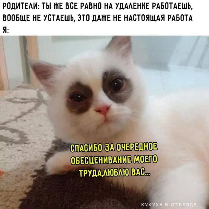РОДИТЕЛИ: ТЫ ЖЕ ВСЕ РАВНО НА УДАЛЕНКЕ РАБОТАЕШЬ, ВООБЩЕ НЕ УСТАЕШЬ, ЭТО ДАЖЕ НЕ НАСТОЯЩАЯ РАБОТА
Я: СПАСИБО ЗА ОЧЕРЕДНОЕ ОБЕСПЕЧИВАНИЕ МОЕГО ТРУДА. ЛЮБЛЮ ВАС...