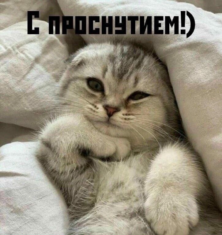 С проснутим!)