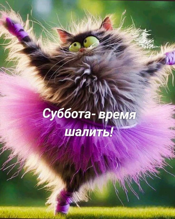 Суббота - время шалить!
