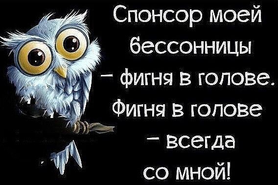 Спонсор моей бессонницы – фигня в голове. Фигня в голове – всегда со мной!