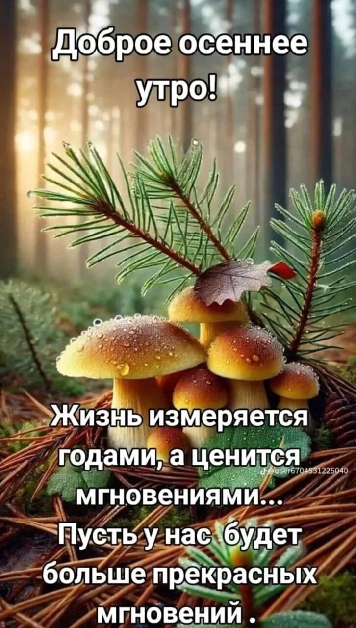 Доброе осеннее утро!
Жизнь измеряется годами, а ценится мгновениями...
Пусть у нас будет больше прекрасных мгновений.