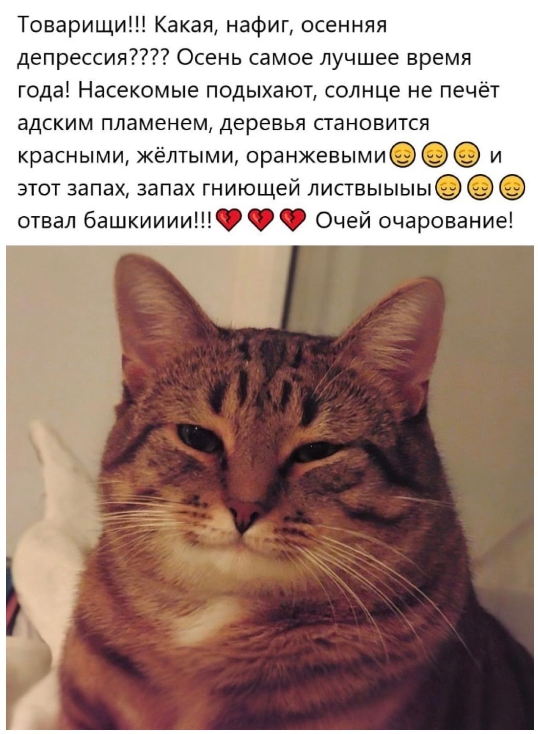 Товарищи!!! Какая, нафиг, осенняя депрессия???? Осень самое лучшее время года! Насекомые подыхают, солнце не печёт адским пламенем, деревья становятся красными, жёлтыми, оранжевыми и этот запах, запах гниющей листвы!!! Отвал башкинии!!! Очей очарование!