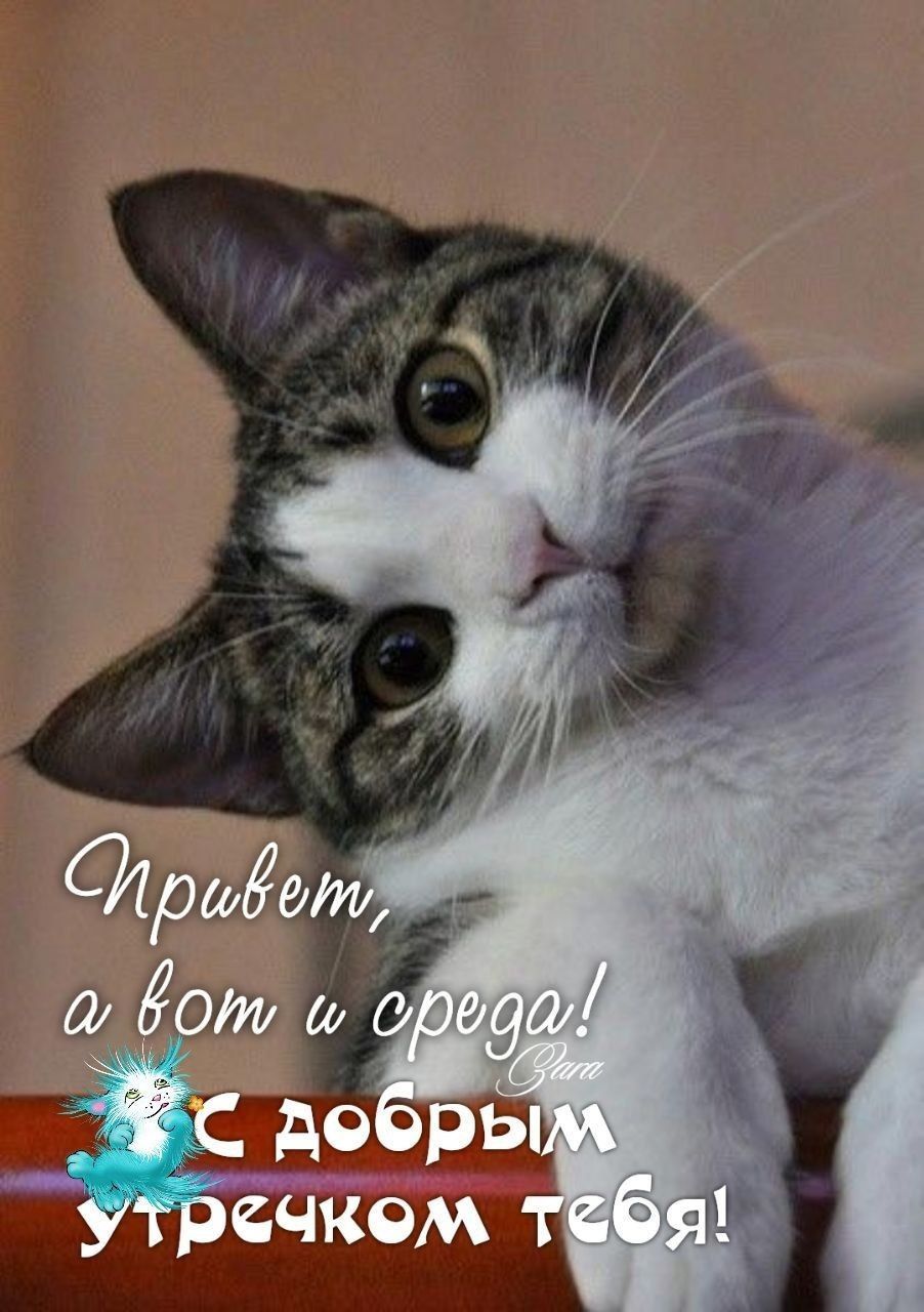 Привет, а вот и среда! С добрым утречком тебя!