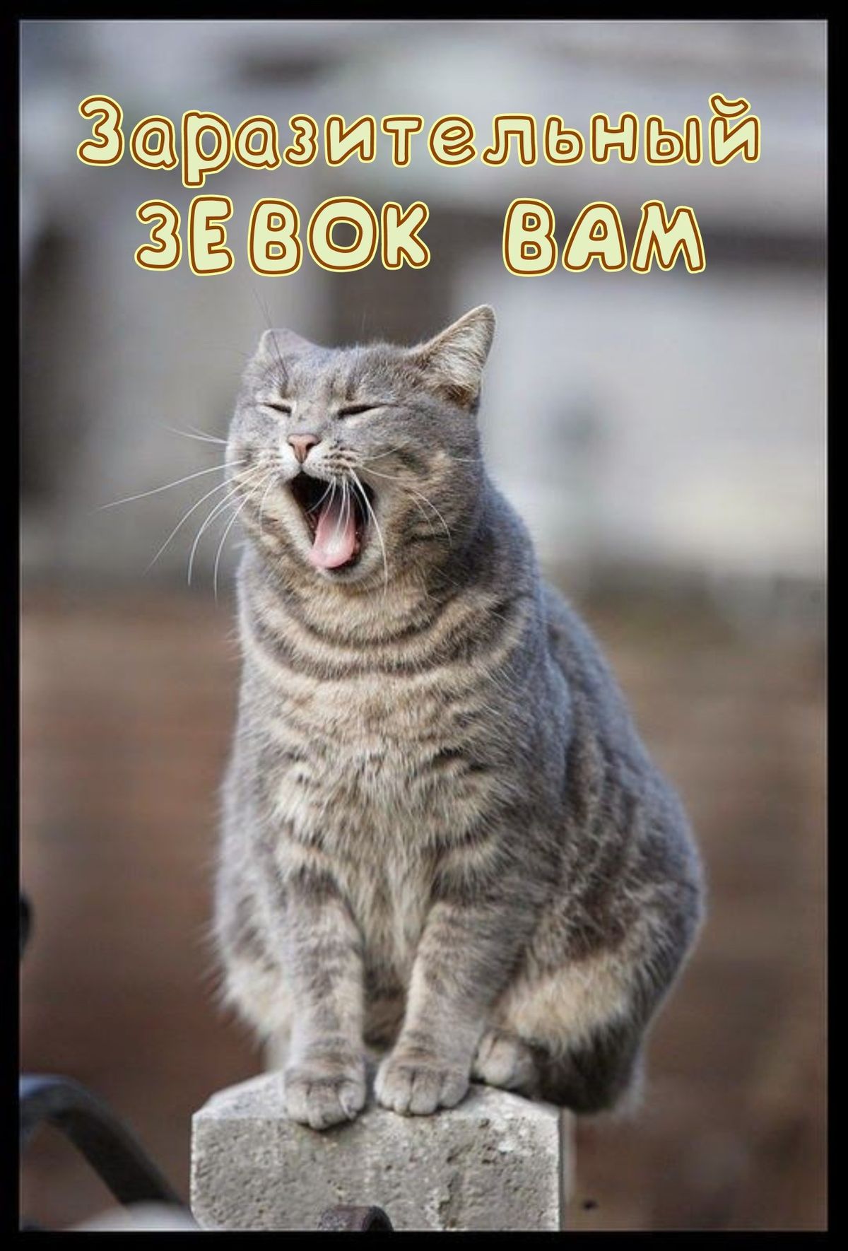 Заразительный ЗЕВОК ВАМ
