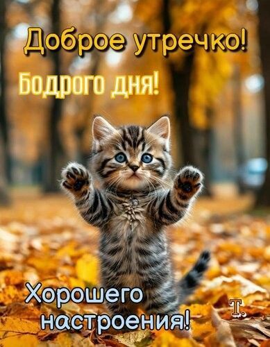 Доброе утречко! Бодрого дня! Хорошего настроения!