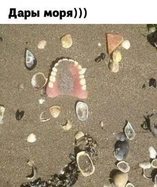 Дары моря)))
