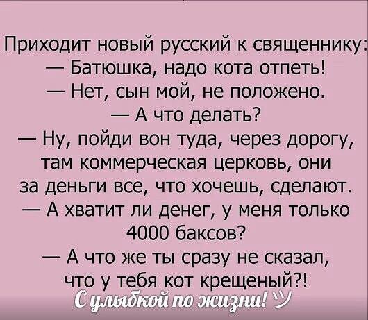 Приходит новый русский к священнику: 
— Батюшка, надо кота отдать! 
— Нет, сын мой, не положено. 
— А что делать? 
— Ну, пойди вон туда, через дорогу, там коммерческая церковь, они за деньги все, что хочешь, сделают. 
— А хватит ли денег, у меня только 4000 баксов? 
— А что же ты сразу не сказал, что у тебя кот крещеный?! 

С улыбкой по жизни! 😄