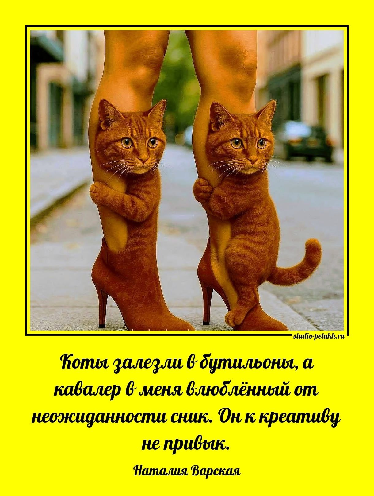 Коты залезли в бутыльоны, а кавалер в меня влюблённый от неожиданности сник. Он к креативу не привык.
Наталия Варская