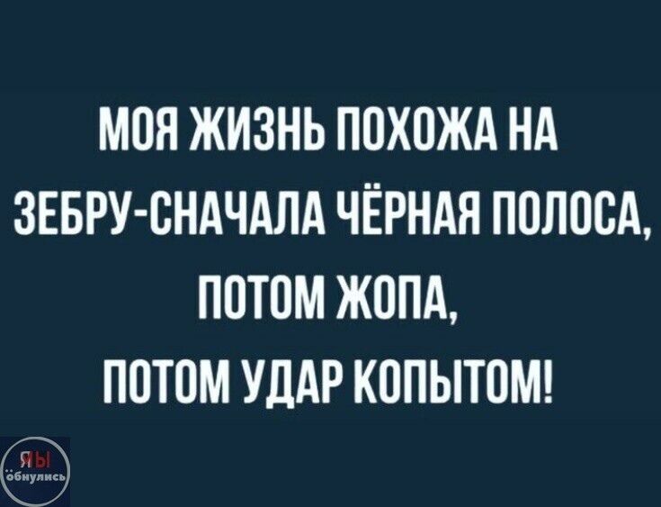 МОЯ ЖИЗНЬ ПОХОЖА НА ЗЕБРУ-СПЕРВА ЧЁРНАЯ ПОЛОСА, ПОТОМ ЖОПА, ПОТОМ УДАР КОПЫТОМ!