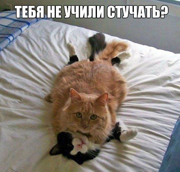 ТЕБЯ НЕ УЧИЛИ СТУЧАТЬ?