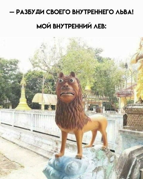 — РАЗБУДИ СВОЕГО ВНУТРЕННЕГО ЛЬВА! МОЛ ВНУТРЕННИЙ ЛЕВ: