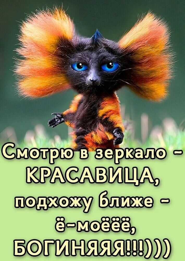 Смотрю в зеркало - КРАСАВИЦА, подхожу ближе - ё-моёё, БОГИНЯЯ!!!))))