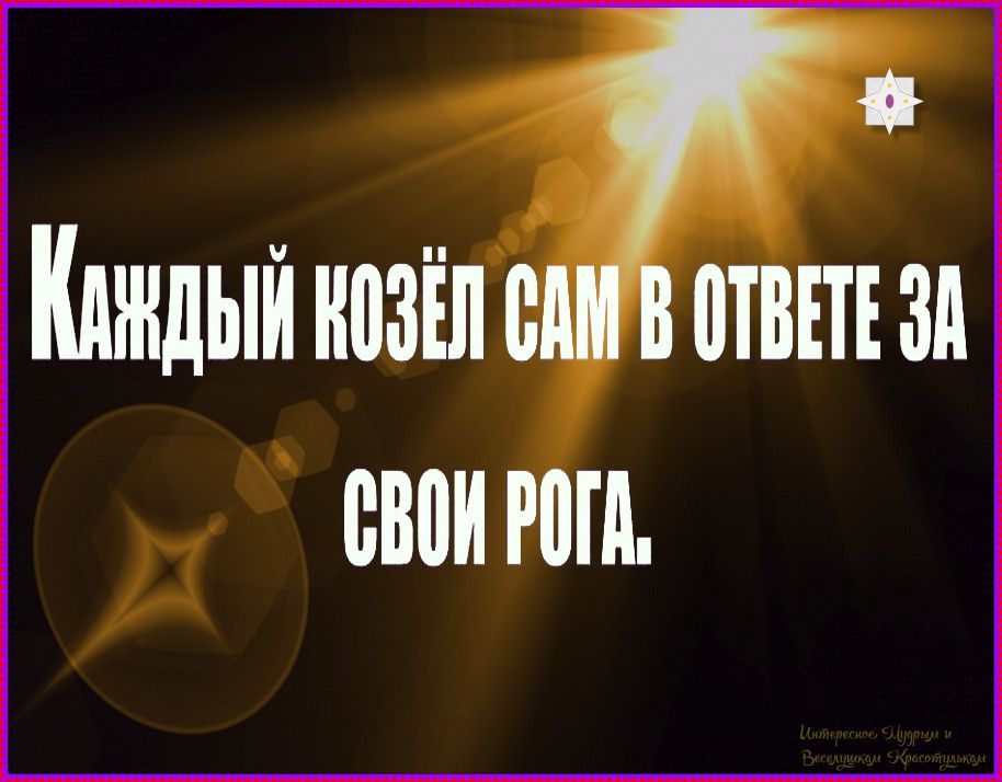 Каждый козёл сам в ответе за свои рога.