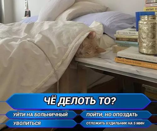 Чё делать то?

1. Уйти на больничный
2. Пойти, но опоздать
3. Уволиться
4. Отложить будильник на 5 мин