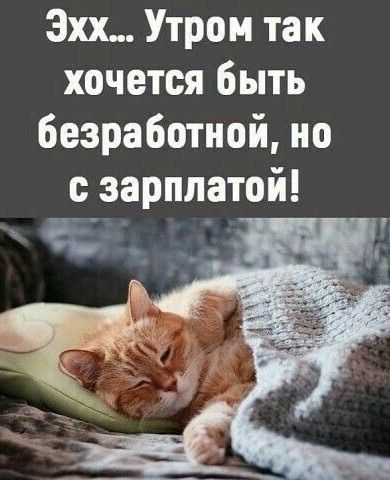 Эхх... Утром так хочется быть безработной, но с зарплатой!