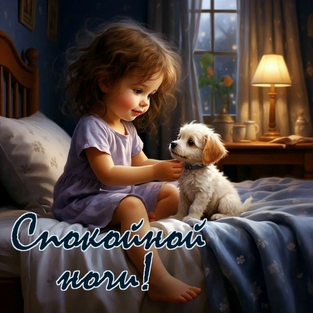 Спокойной ночи!