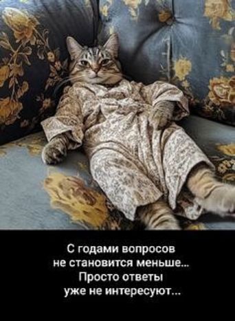 С годами вопросов не становится меньше... Просто ответы уже не интересуют...