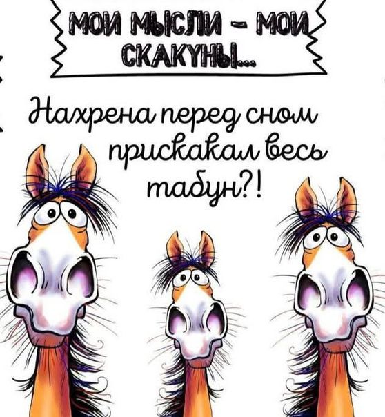 МОИ МЫСЛИ – МОИ СКАКУНЫ...
Нахрена перед сном прискакал весь табун?!