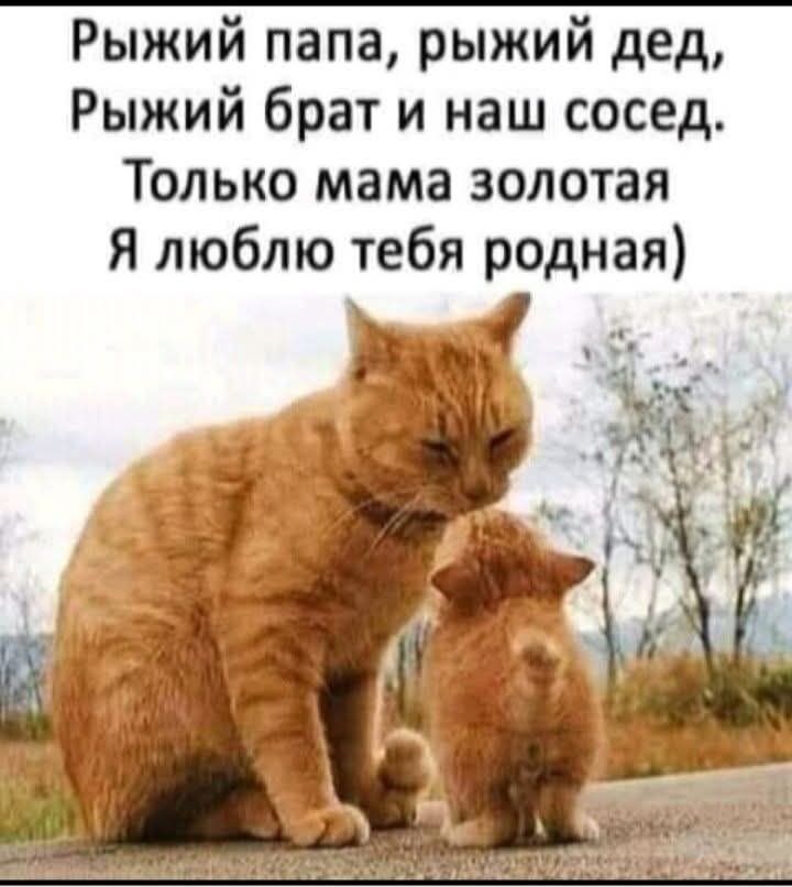 Рыжий папа, рыжий дед, Рыжий брат и наш сосед. Только мама золотая Я люблю тебя родная)
