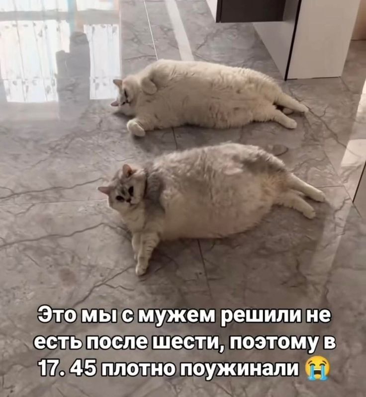 Это мы с мужем решили не есть после шести, поэтому в 17.45 плотно поужинали 😭