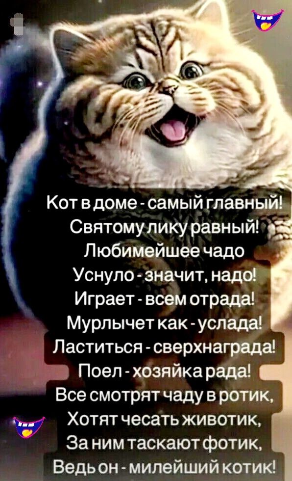 Кот в доме - самый главный! Святому лику равный! Любимое чада Уснуло - значит, надо! Играет - всем отрада! Мяучит как - услада! Ластиться - сверхнаградa! Поел - хозяйка рада! Все смотрят чаду в ротик, Хотят чесать животик, За ним таскают фотик, Ведь он - милейший котик!