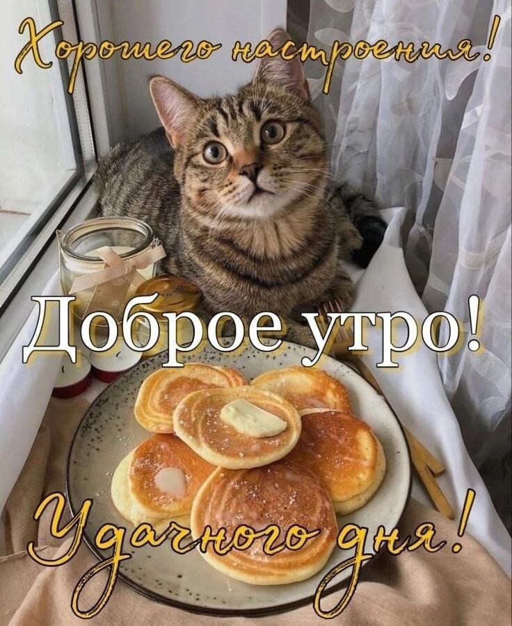 Хорошего настроения! Доброе утро! Удачного дня!