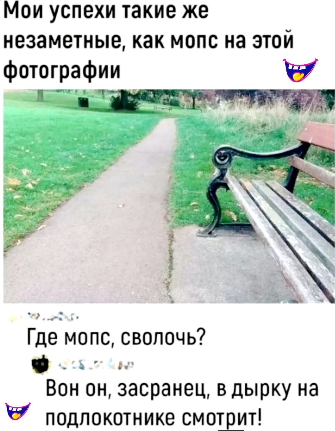 Мои успехи такие же незаметные, как мопс на этой фотографии
Где мопс, сволочь?
Вон он, засранец, в дырку на подлокотнике смотрит!