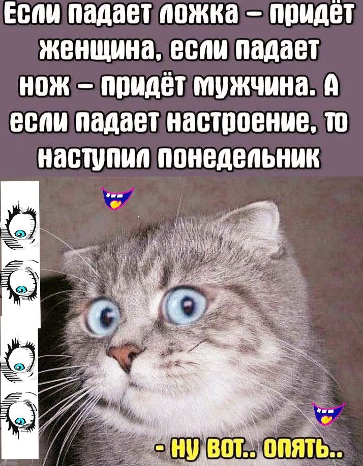 Если падает ложка – придёт женщина, если падает нож – придёт мужчина. А если падает настроение, то наступил понедельник
- ну вот.. опять..