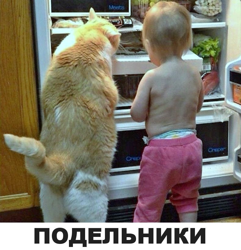 ПОДЕЛЬНИКИ