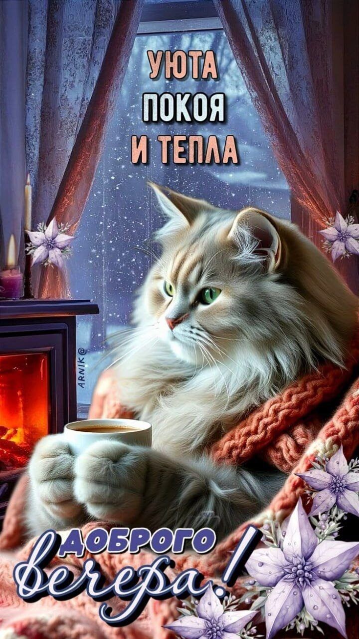 УЮТА ПОКОЯ И ТЕПЛА ДОБРОГО ВЕЧЕРА!