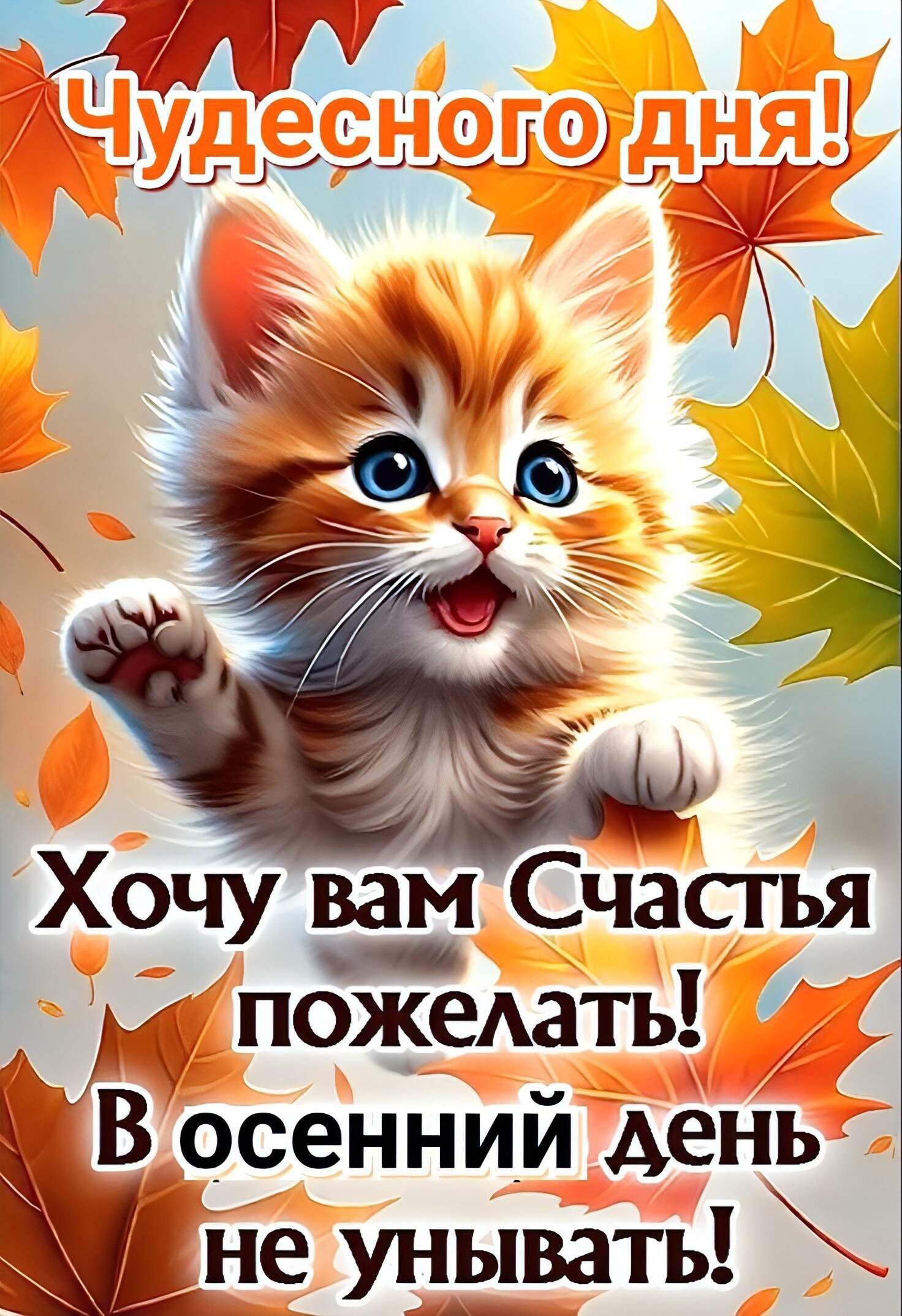 Чудесного дня! Хочу вам Счастья пожелать! В осенний день не унывать!